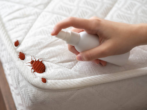 Best Emergency Pest Control  in Mickleton, NJ